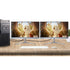 DVI-I to DVI-D VGA Video Cable Splitter 1 in 2 Out Computer Host Laptop Graphics Card DVI24+5 External 2 Port DVI24+1 VGA Monitor TV Projector Ada...