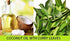 MB Herbals Curry Leaf Powder 227 Gram | 8 oz | Curry Leaves Powder | Promotes Hair Growth | Hair Volume | Thicker Hair...