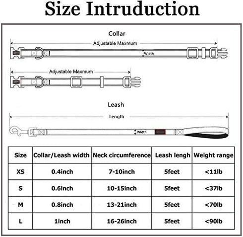 Reflective Dog Collar and Leash Set, Purple Martingale Dog Collar and Leash for Medium Dogs, Adjustable Durable Nylon Pet Collars with Leashes for...
