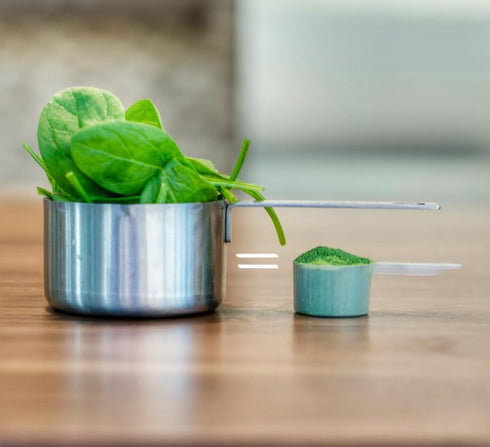 KOYAH - Organic Spinach Powder (Equivalent to 30 Cups Fresh): Freeze-Dried, Whole-Leaf Powder...