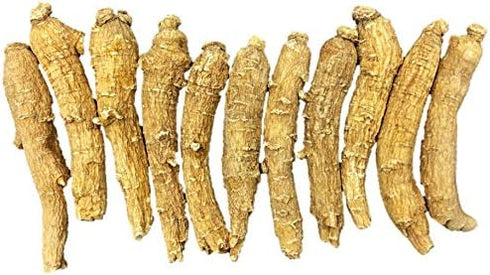 Hand-Selected A Grade American Ginseng Medium Thin-Short Size (4 Oz. Box)...