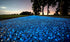 Oubest Fish Tank Rocks Glow Blue/Glow in The Dark Pebbles for Garden/Fish Tank/Aquarium/Plant Pots/Bonsai Walkway/Driveway 100pcs...
