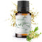 Cajeput Essential Oil (15ml) - Direct from Central Java, Indonesia - Essential Oils for Diffusers Aromatherapy; Essential Oils for Body; Massage O...