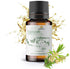 Cajeput Essential Oil (15ml) - Direct from Central Java, Indonesia - Essential Oils for Diffusers Aromatherapy; Essential Oils for Body; Massage O...