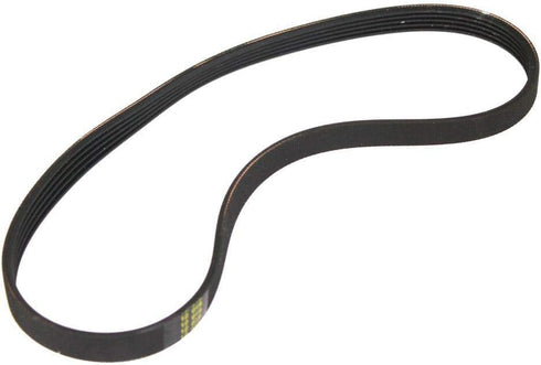W10006384 Washer Belt Drive Belt Replacement for Whirlpool Kenmore WPW10006384 AP4514411 PS2579381 Washing Machine