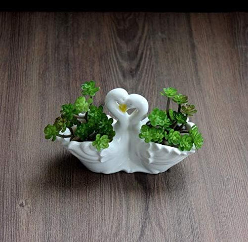 Funnuf Cute Animal White Ceramic Succulent Cactus Flower Planter for Home Garden Office Desktop, 1pcs, swan Couple...