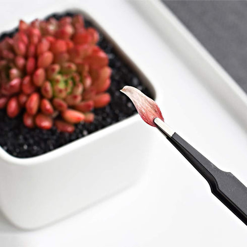 Succulent Plants Tools,Mini Garden Hand Transplanting Succulent Tools Miniature Planting,Set for Indoor Miniature Fairy Garden Plant Care (15pcs T...