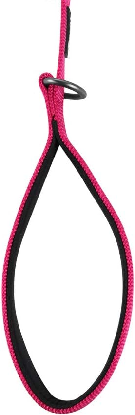 Hyhug Pets Premium Upgraded Adjustable Between 4 Feet and 6 Feet Leash with Durable Nylon and Super Soft Neoprene lined Handle for Young Dogs Dail...