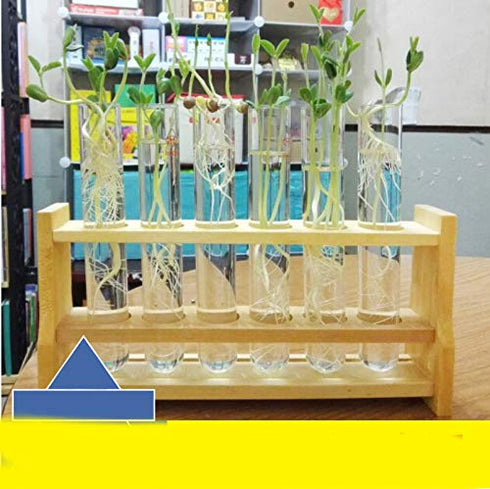 Chiloskit 0.7" (18mm) Holes Wood Wooden Test Tube Rack Holder Stand for API 10ml 25ml Test Tubes Lab Tube Racks Pen Holder (10ml 6Slots)...