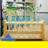 Chiloskit 0.7" (18mm) Holes Wood Wooden Test Tube Rack Holder Stand for API 10ml 25ml Test Tubes Lab Tube Racks Pen Holder (10ml 6Slots)...