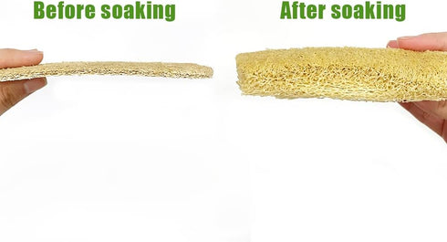 Natural Waist Shape Organic Cellulose Loofah Pad Kitchen Cleaning Dish Loofah Sponge Pad (5, 4.75x3.15)...