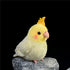 Nohito Realistic Yellow Cockatiel Parrot Bird Plush Toy Stuffed Animal Simulation Fake Bird Cockatoo Stuffed Animals Cute Little Bird Plushie Doll...