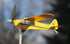 Piper J3 Cub Airplane Weathervane,3D Unique and Magical Metal Windmill Outdoor Wind Sculpture Kinetic Sculpture for Yard/Garden/Decor Decoration,G...