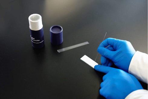 J&K Scientific Capillary Tubes, 0.3mm ID x 100mm, Micro Pipettes TLC Spotting, Pack of 1000...