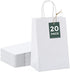 GSSUSA 5.25x3.75x8 20Pcs White Paper Bags With Handles?Small Gift Bags for Shopping,Craft,GroceryParty,Retail,Lunch,Business,Wedding,Merchandise,B...