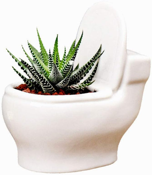 Ceramic White Toilet Plant Pot/Bonsai Pot/Flower Pot/Succulent Planter 4.6" Ideal Gifts for Women, Mom or Birthdays...