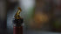 Whiskey Pourer for Liquor Bottles – With Flap - Made 100% In USA. Great Whiskey Gift For The Home Bar! (1, Amber - Standard Cork)...