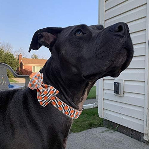 Elegant little tail Halloween Dog Collar, Pumpkin Print Pet Collar Bowtie Dog Collar Holiday Adjustable Pet Gift Collars for Small Medium Large Do...