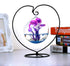 Archi Heart-Shaped Ornament Display Stand Iron Pothook Stand for Hanging Glass Terrarium (Heart-1)...