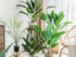 Rikyo 2 Bunches Artificial Bird of Paradise Plants 18" Permanent Leaf,Tropical Leaves Faux Strelitzia 12 Leaves Banana Tree for Potted Plant Flowe...
