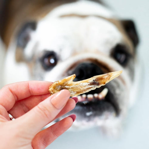 WOOF Air Dried Dog Treats - Chicken Wing Tip, High Protein, Dog Treats Small Dogs and Dog Treats for Large Dog, Natural, Topper or Dog Treat, 1.76...