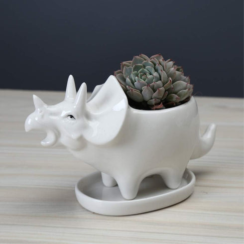Cute Dinosaur Succulent Planter Pot with Drainage Tray, White Ceramic Cactus/Flower Container, Animal Bonsai Holder for Air Plants...