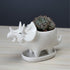 Cute Dinosaur Succulent Planter Pot with Drainage Tray, White Ceramic Cactus/Flower Container, Animal Bonsai Holder for Air Plants...