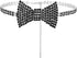 Sethain Boho Rhinestone Choker Necklace Silver Crystal bowknot Necklaces Party Jewelry Accessories for Women and Girls...
