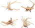 Ipetboom Natural Driftwood for Aquarium - 2pcs Driftwood for Freshwater Aquarium Hamster Water Bottle - Aquarium Decor Spider Wood Freshwater Fish...