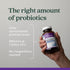 New Chapter All-Flora™ Probiotic Dual Immunity, Clinical-Strength Ingredients - Highly Concentrated Probiotics for Active Immune Support & Gut Hea...