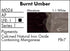 Grumbacher Max Water Miscible Oil Paint, 37ml/1.25 oz, Burnt Umber...