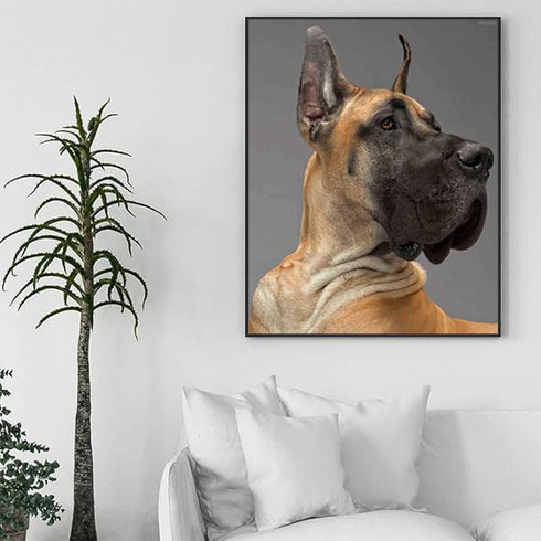 DIY Diamond Painting Great dane Dog Round Full Crystal Cross Stitch Crafts by Number Art Painting Kit Wall Decor Home Gifts 12x16 inch......