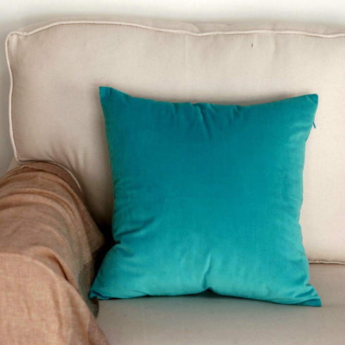 Artcest Cozy Solid Velvet Throw Pillow Case, Decorative Couch Cushion Cover, Soft Sofa Euro Sham with Zipper Hidden, 24"x24" (Light Teal)...