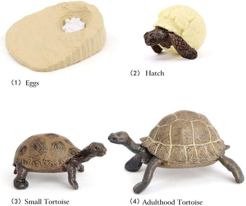 4PCS Elephant Tortoise Animal Life Cycle,Insect Growth Cycle Model,Hand Painting Animal Figures,Educational Toy,Cake Toppers Christmas Birthday Gi...