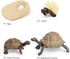 4PCS Elephant Tortoise Animal Life Cycle,Insect Growth Cycle Model,Hand Painting Animal Figures,Educational Toy,Cake Toppers Christmas Birthday Gi...