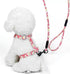 3 Pcs Swivel Snap Hooks Metal Dog Leash Clasp Spring Keychain Clip Swivel Pet Buckle Joints Trigger Clips for Linking Collar...