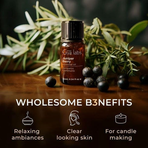 Gya Labs Juniper Berry Essential Oil for Diffuser - 0.34 Fl Oz - 100% Pure Natural Juniper Essential Oil for Skin & Candle Making - Fresh Woodsy &...