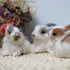 Mini Simulation Rabbits, Realistic Cute Plush Rabbits Lifelike Plush Bunny Realistic Rabbit Miniatures Cute Stuffed Animal Figurines, White Rabbit...