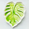 Porcelain Watercolor Palette 6.7in Monstera Leaf Artist Professional Ceramic Palette (Porcelain)...