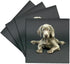 3drose Weimaraner Puppy Ceramic Tile Coaster, Set of 4...