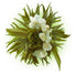 10 Blooming Flower Tea - 5 Jasmine and 5 Green...