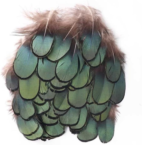 MAHAVIMOKSA 100pcs Natural Feather for DIY Craft Earring Wings Wedding Party Home Decoration (Green Lady Amherst Bronze Iridescent Plumage)...