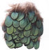 MAHAVIMOKSA 100pcs Natural Feather for DIY Craft Earring Wings Wedding Party Home Decoration (Green Lady Amherst Bronze Iridescent Plumage)...