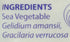 Eden Agar Agar Sea Vegetable Flakes 1 Ounce, Pack of 1...