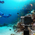 Dive Case/Waterproof case for GoPro Hero11 Mini Black,30M Underwater Filming Accessory with Bracket and Screws...