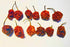 Wicked Reaper Wicked Tickle Carolina Reaper Chili Peppers World's Hottest Dried Spice 10 Pack +2 Free...