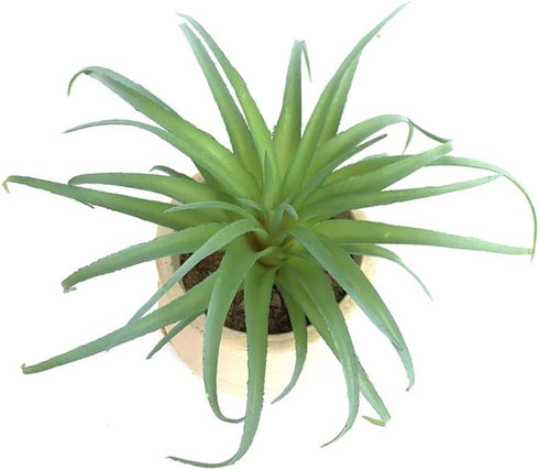 2 PCS Artificial Succulents Plants Unpotted Fake Tillandsia Air Plants Succulent Bouquet Arrangements Faux Plants DIY for Garden Decor Home Decora...