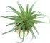 2 PCS Artificial Succulents Plants Unpotted Fake Tillandsia Air Plants Succulent Bouquet Arrangements Faux Plants DIY for Garden Decor Home Decora...