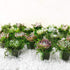 BYHER Artificial Moss Fake Green Grass for Centerpieces Home Kitchen Garden Decor (3.5OZ, Fresh)...