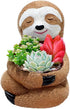 Succulent Planter Pot Animal Pot, Cactus Plant Pot Cute Sloth Design with Drainage Hole, Small Resin Flower Pot for Indoor Outdoor Decor...